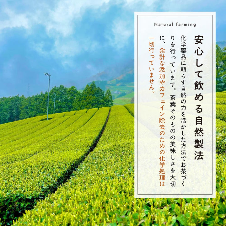 ノンカフェイン ティーバッグ