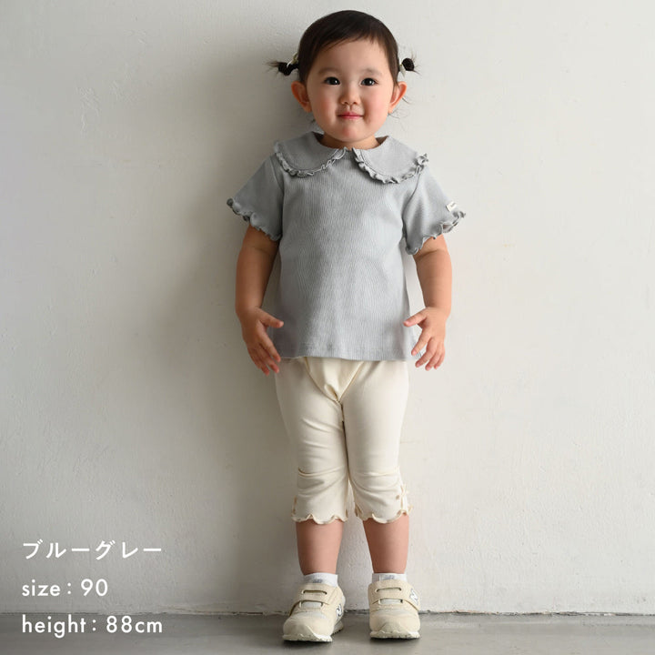 ビッグカラー 半袖 Tシャツ テレコ