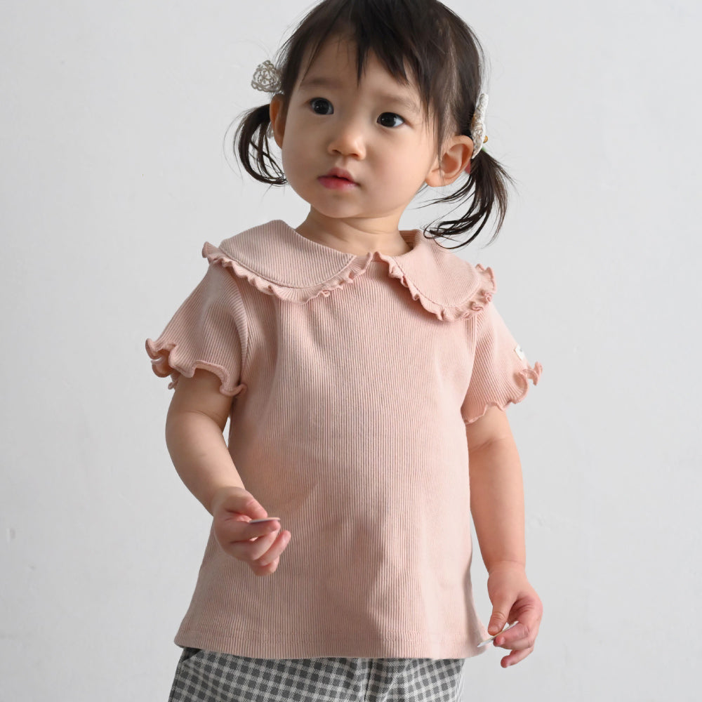 ビッグカラー 半袖 Tシャツ テレコ